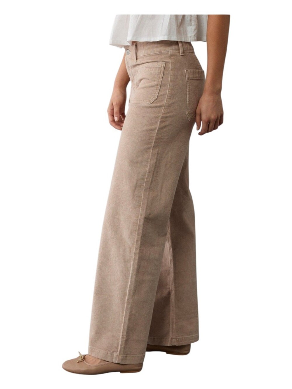 American Eagle Corduroy Low Rise Baggy Wide Leg Pants